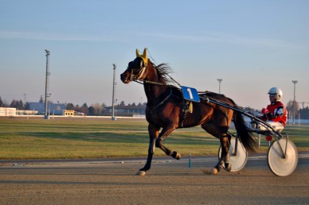 Jockey Horse Harness Horse Horse Racing photo