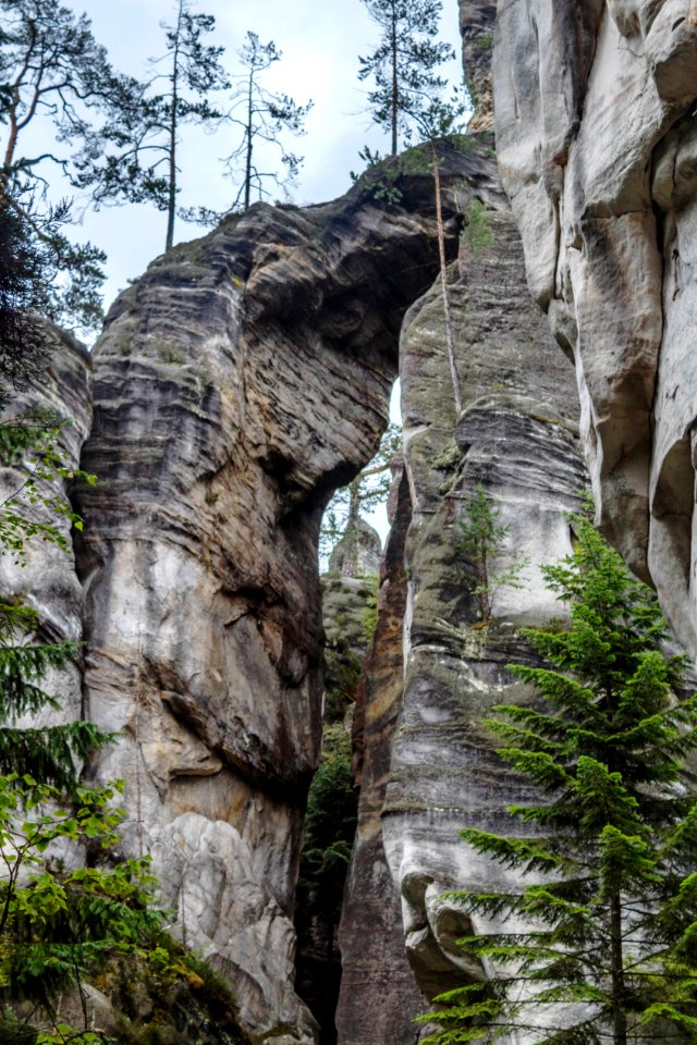 Rock Tree Cliff Formation photo