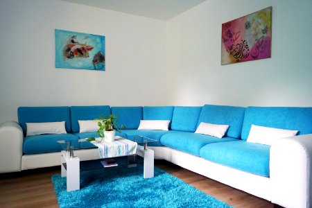 Blue Living Room Room Property photo