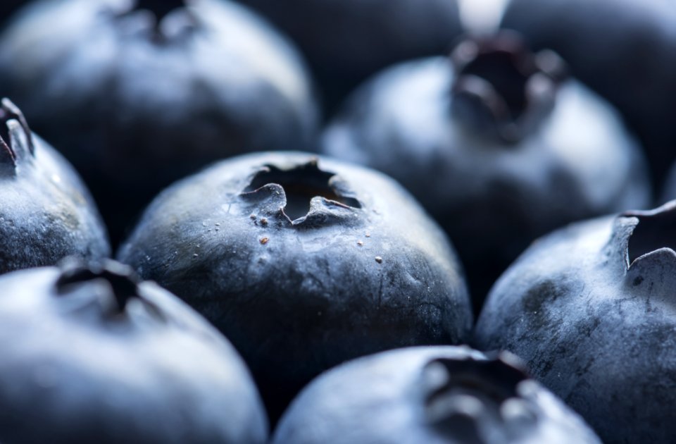 Antioxidant Background Berry