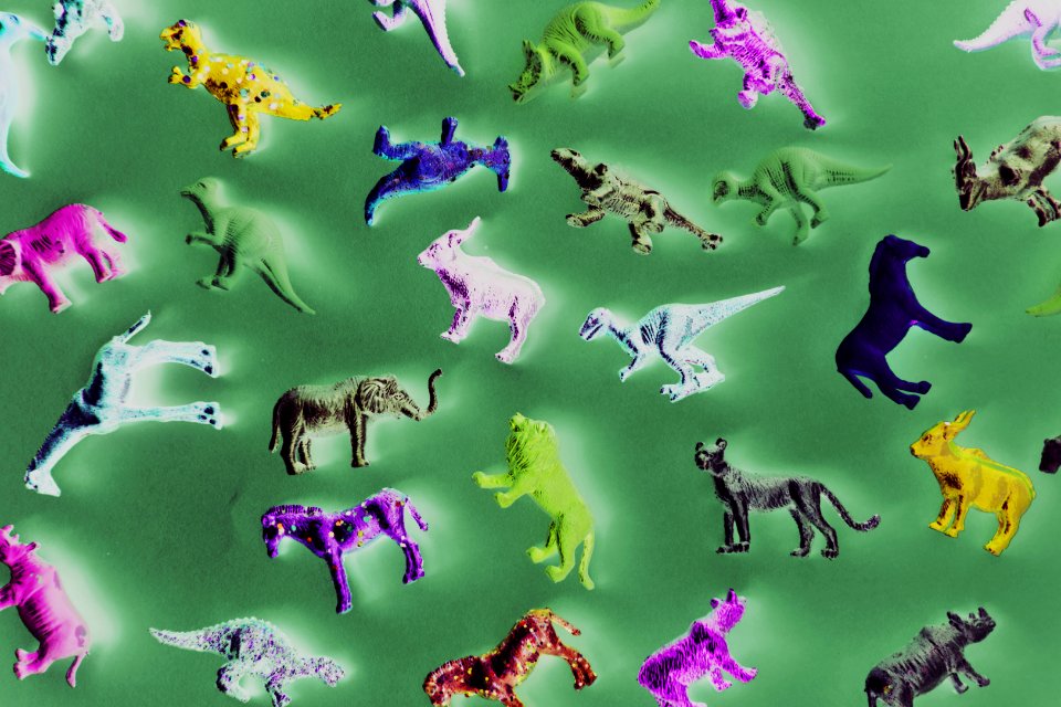 Ancient Animal Animals