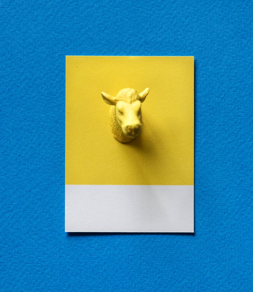 Abstract Animal Background
