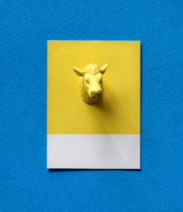 Abstract Animal Background