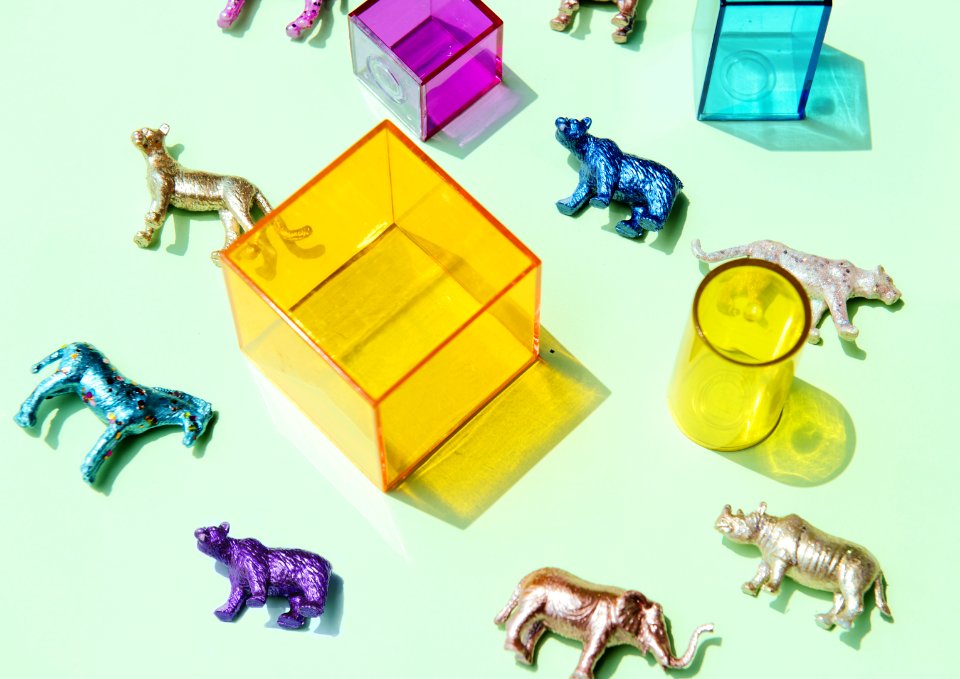 Amusement Animals Background