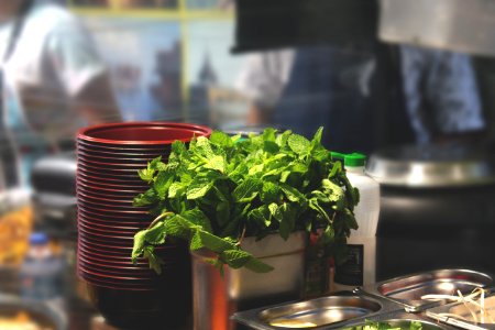 Green Leaf Plant Beside Bowl And Bain-marie photo