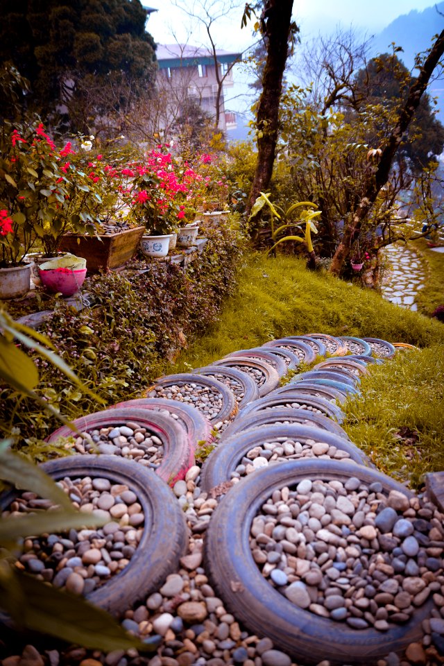 Walkway Beside Garden
