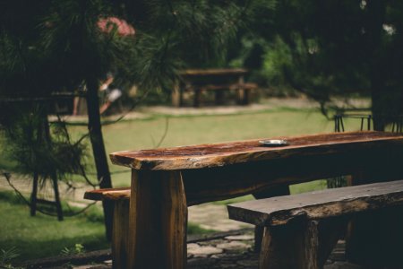 Gray Ashtray On Brown Wood Slab Table photo