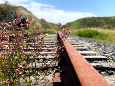 Shallow Focus Photography Of Railroad photo