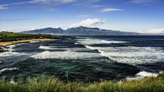 Sea Waves And Green Grasses