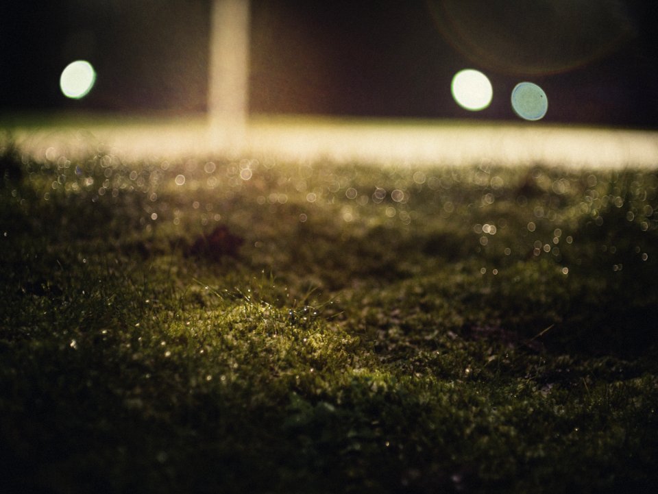 Blur Bokeh Close-up
