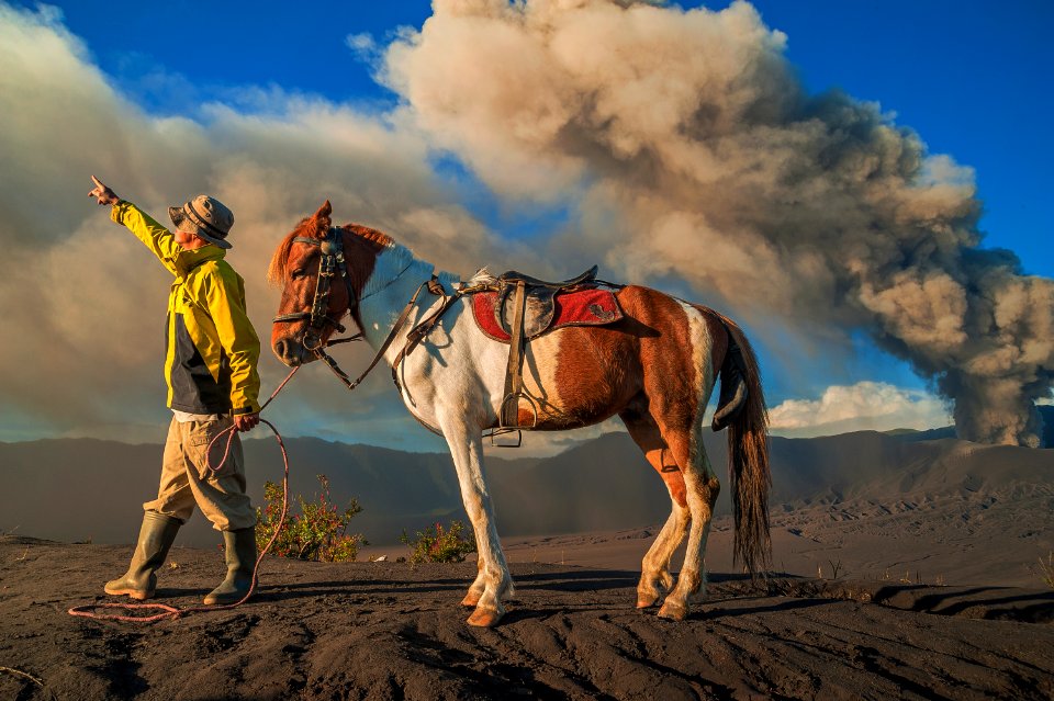 Man Wearing Yellow Jacket And Beige Pants Holding White And Brown Horse