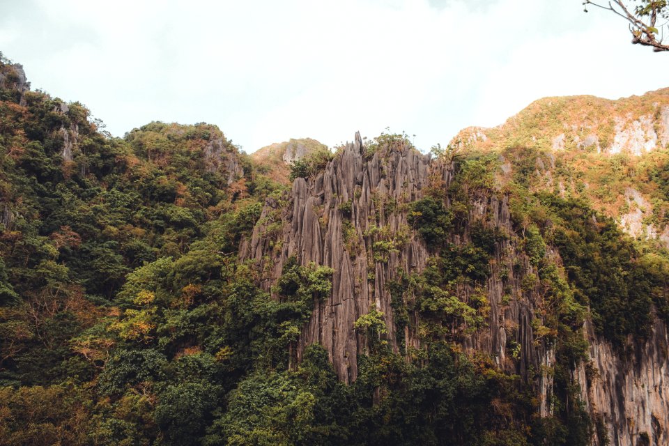 Photo Of Gray Rock Formation With Trees At Daytime photo