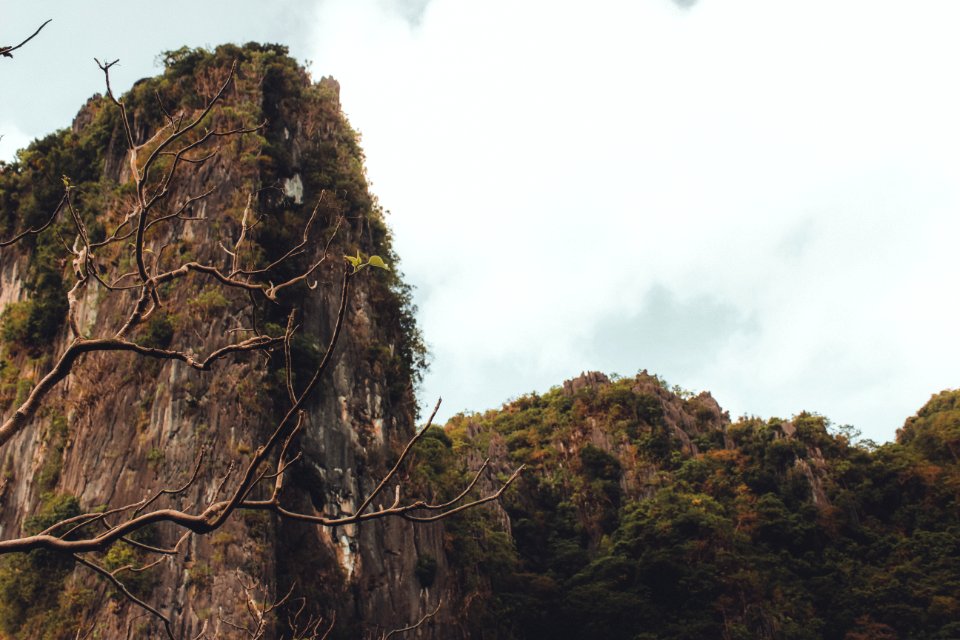 Brown Cliff Near Trees Under Cloudy Sky