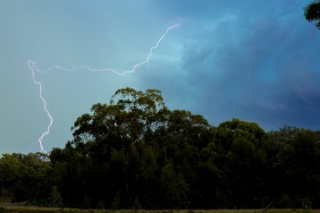 Lightning Above The Green Trees