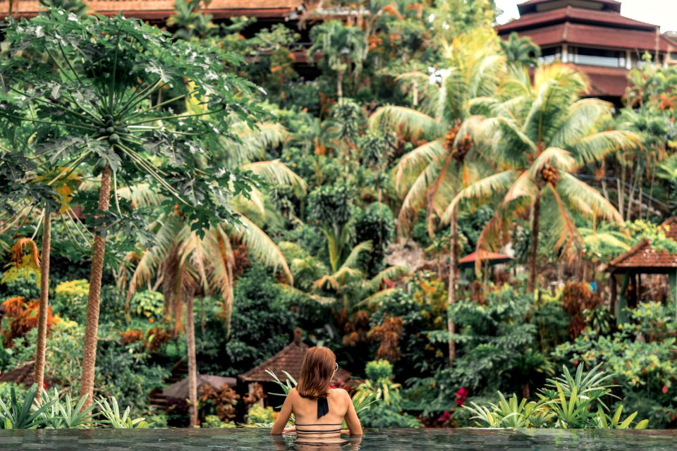 Woman Near Green Trees On The Pool