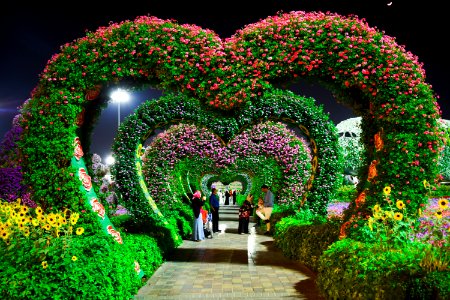 Heart-shaped Pink And Purple Flower Garden