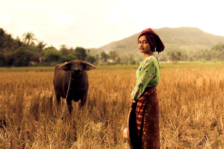 Woman Standing Near Black Water Buffalo At The Field photo