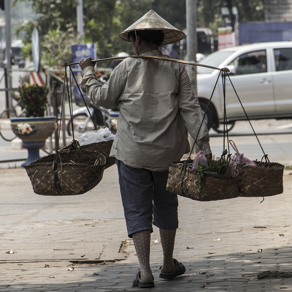 Exotica asia laos