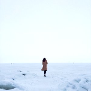 Woman In Brown Coat On Snow photo