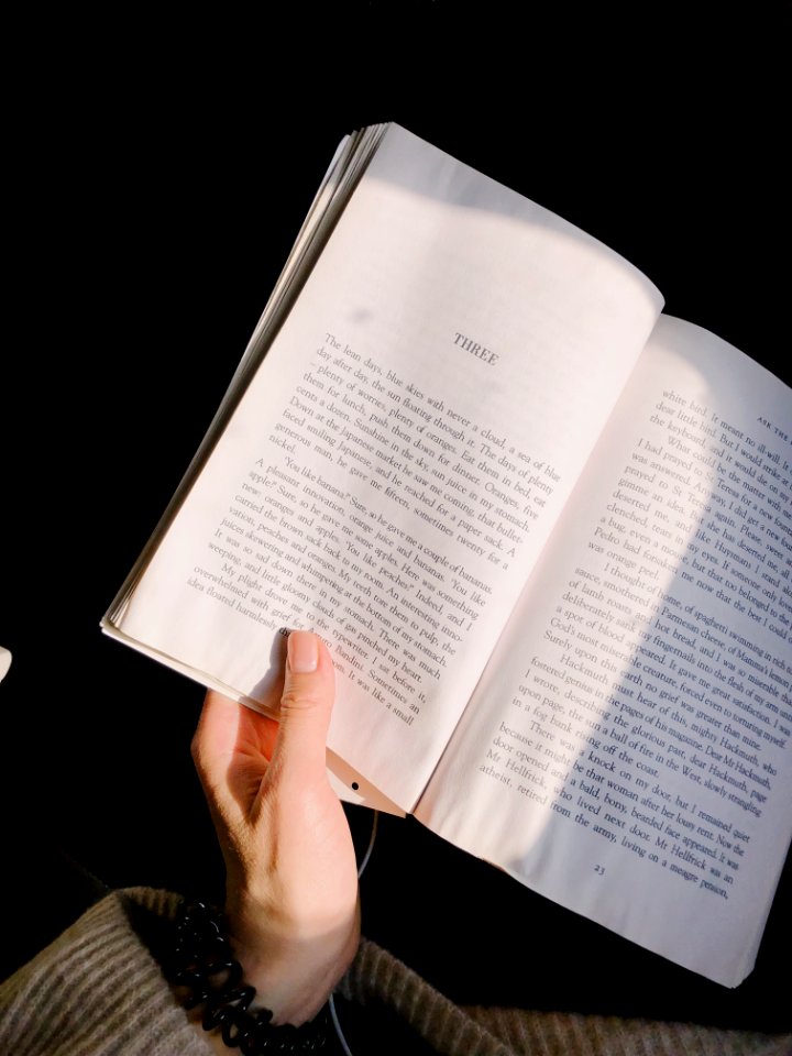 Person Holding Novel Book