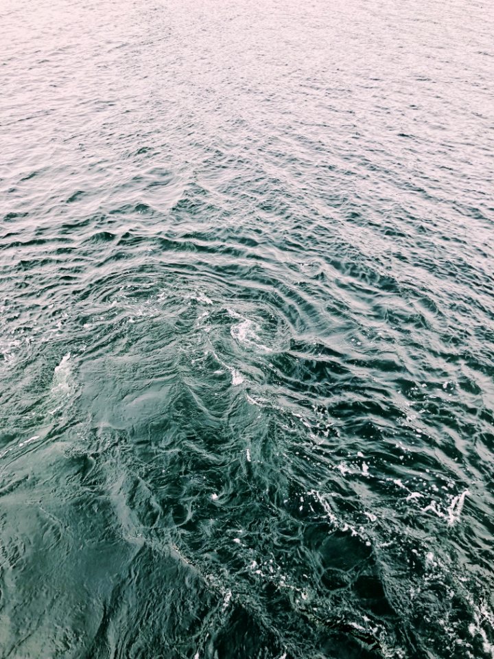 Photo Of Body Of Water