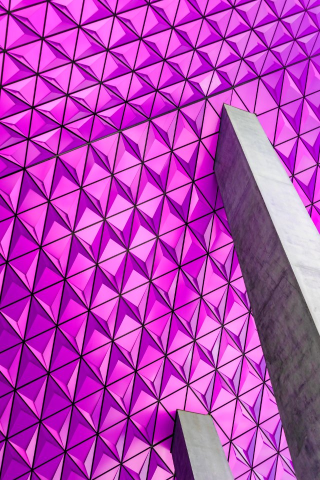 Closeup Photo Of Pink Graphic Wallpaper