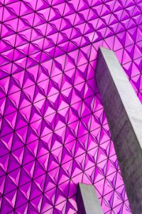 Closeup Photo Of Pink Graphic Wallpaper
