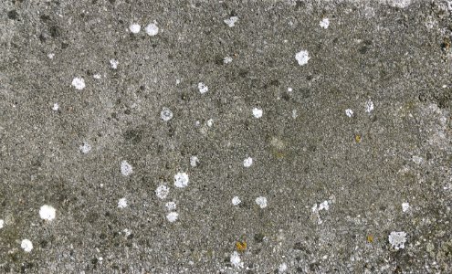 Asphalt Road Surface Texture Soil photo
