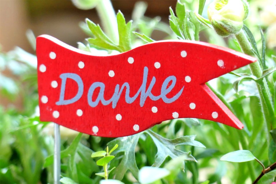 Grass Strawberries Strawberry Font