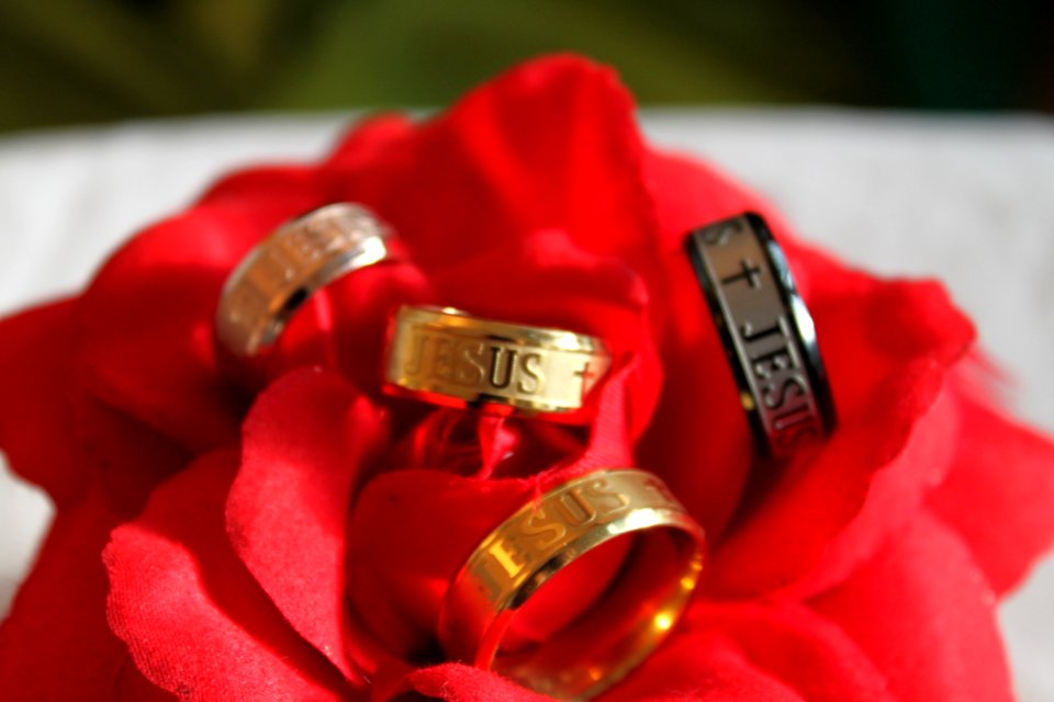 Ring Jewellery Petal Rose Family