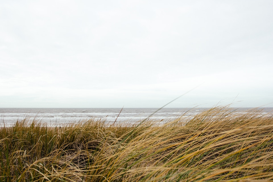 Windy cloudy gray photo