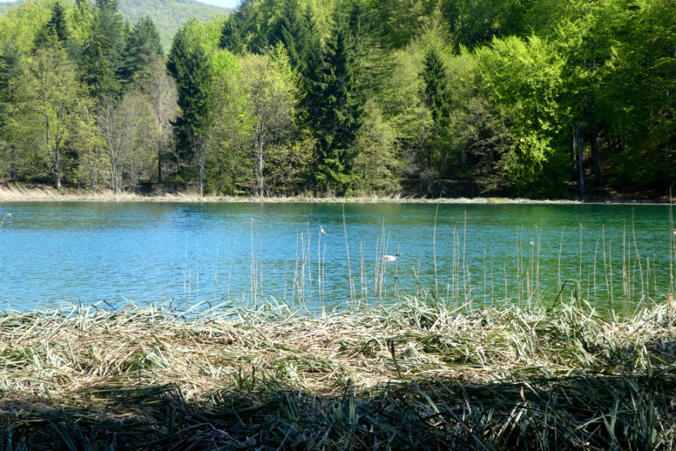 Water Nature Reserve Body Of Water Lake