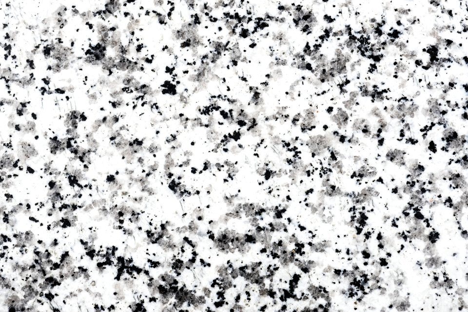 White Black Black And White Monochrome Photography
