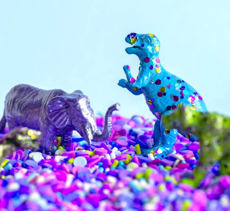 Animal Background Birthday