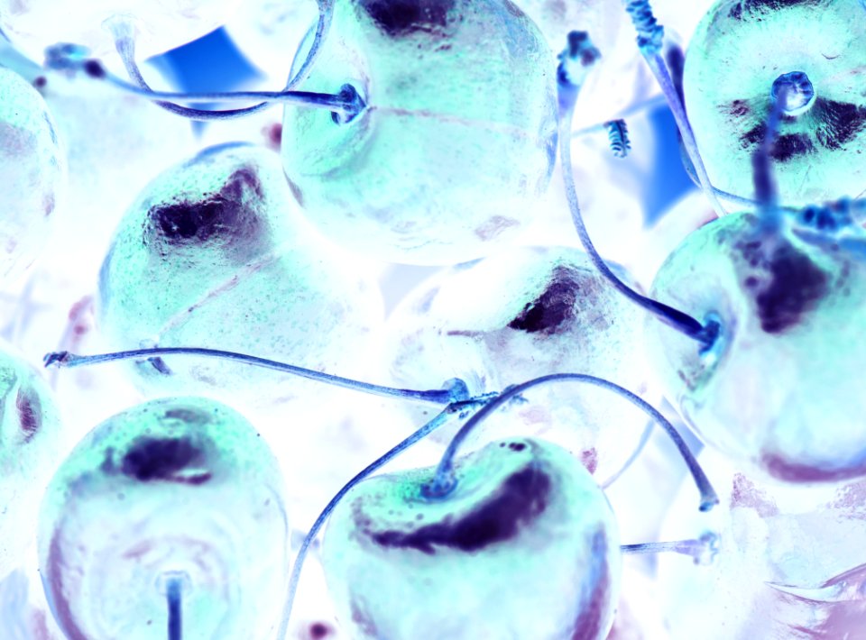 Background Berry Cc0