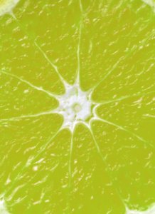 Acid Background Cc0