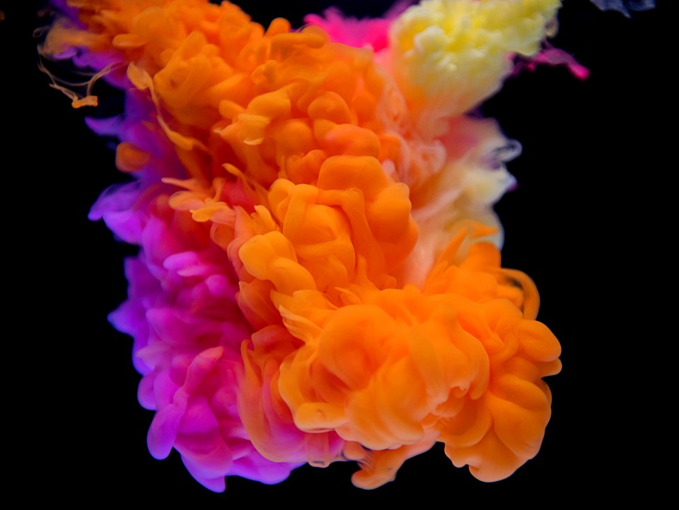Abstract Aquatic Art