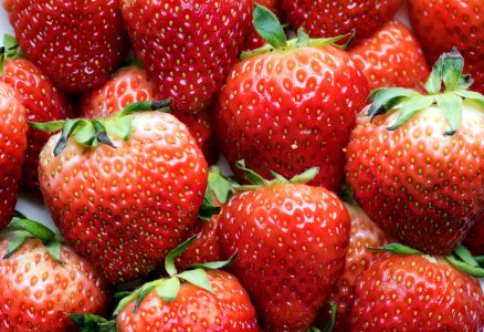 Background Berry Cc0