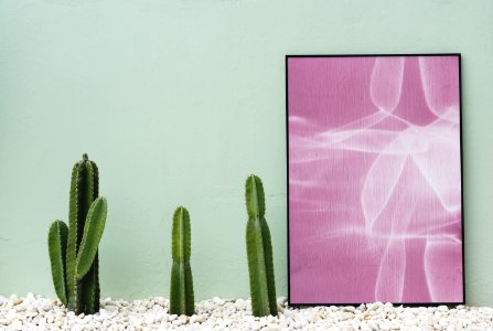 Blank Board Cactus