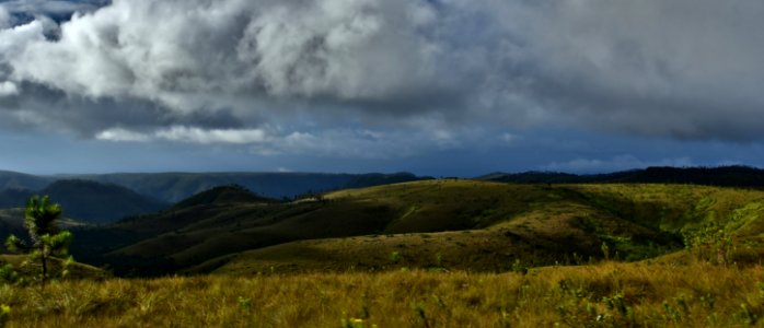 Highland Sky Grassland Vegetation photo
