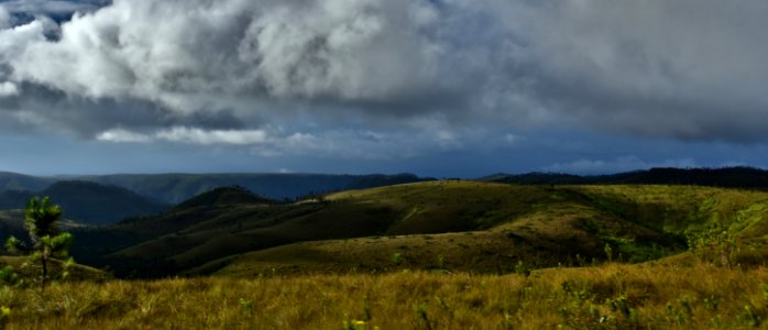 Highland Sky Grassland Vegetation