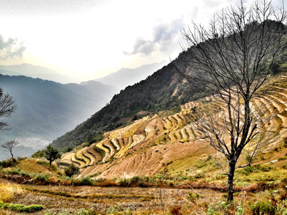 Mountainous Landforms Wilderness Sky Vegetation