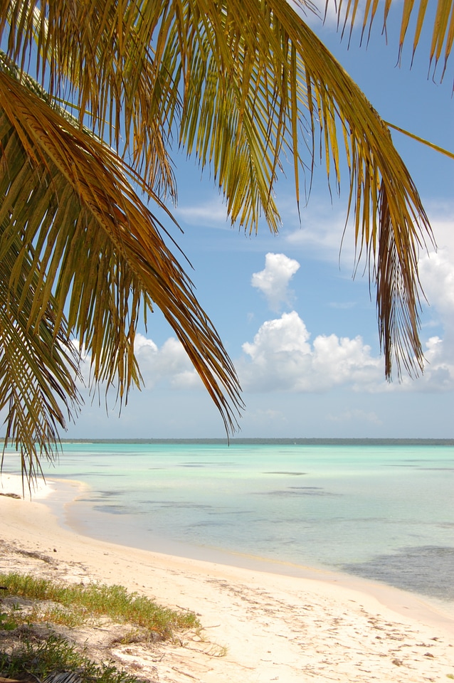 Shore foreshore dominican republic