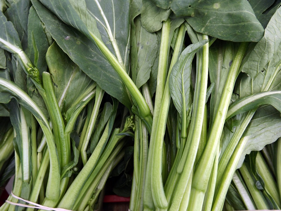 Ingredients turnips leeks
