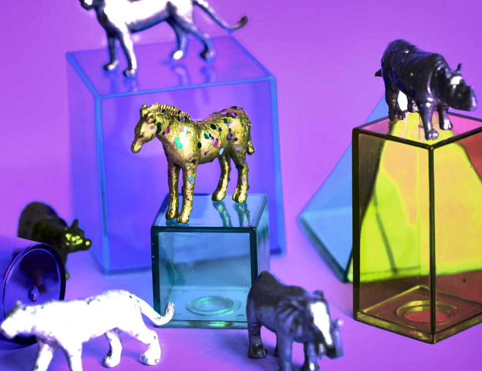 Amusement Animals Background