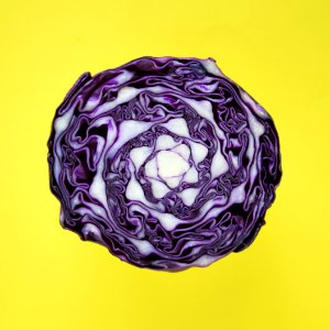 Background Cabage Cabbage