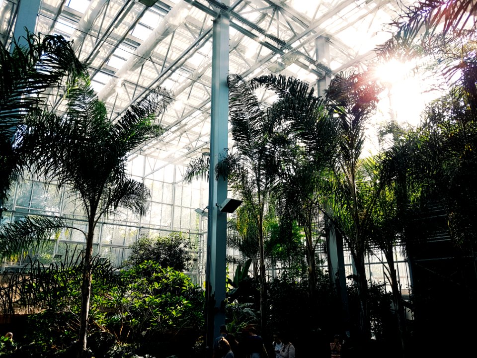 Botanical Garden Botany