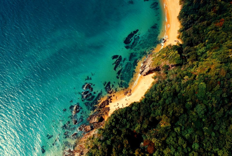 Aerial Photo Of Blue Body Of Water And Green Leafed Trees photo