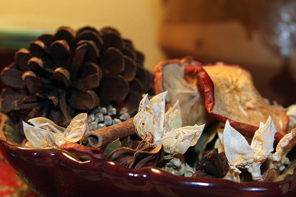 Fragrance floral dried flowers photo