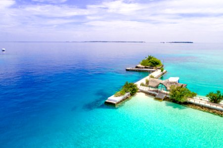 High Angle View Photo Of White Dock With Trees On Seashore